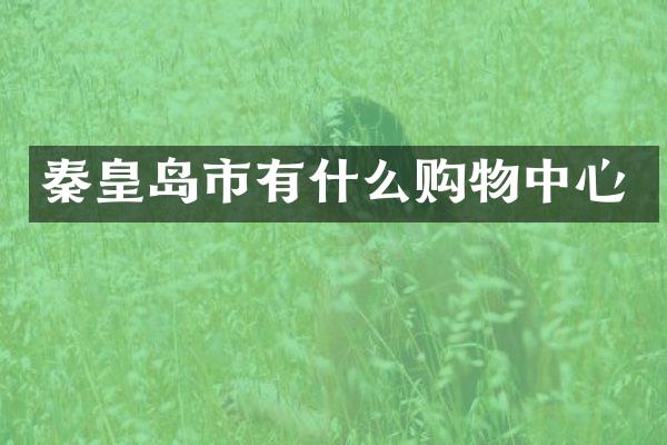 秦皇岛市有什么购物中心