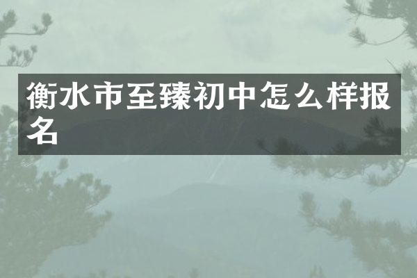 衡水市至臻初中怎么样报名
