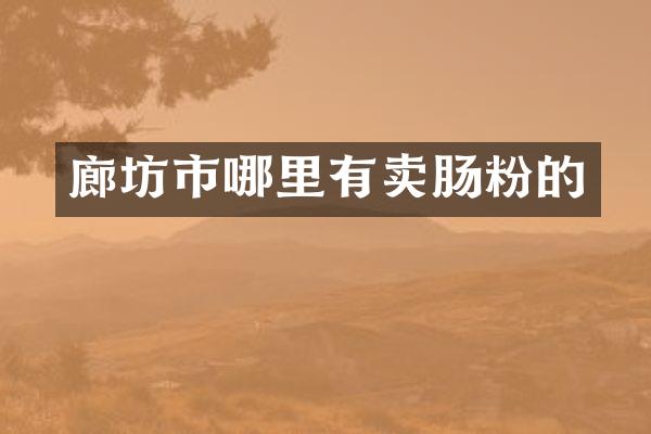 廊坊市哪里有卖肠粉的