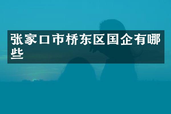 张家口市桥东区国企有哪些