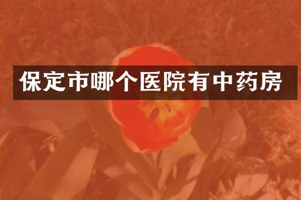 保定市哪个医院有中药房