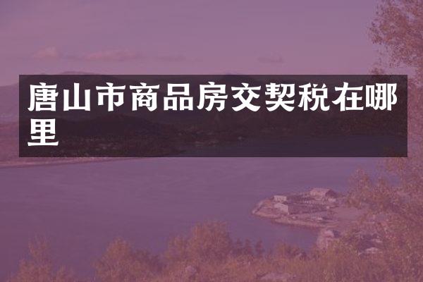 唐山市商品房交契税在哪里