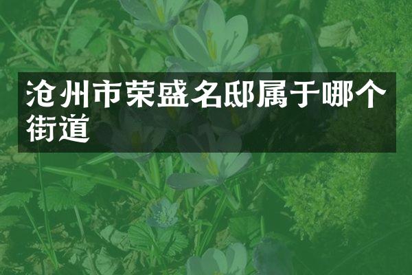 沧州市荣盛名邸属于哪个街道