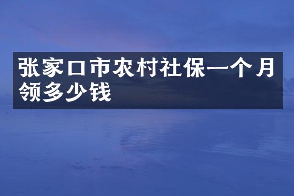 张家口市农村社保一个月领多少钱