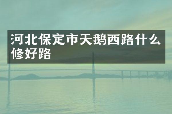 河北保定市天鹅西路什么修好路