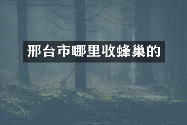 邢台市哪里收蜂巢的