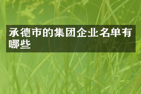 承德市的集团企业名单有哪些