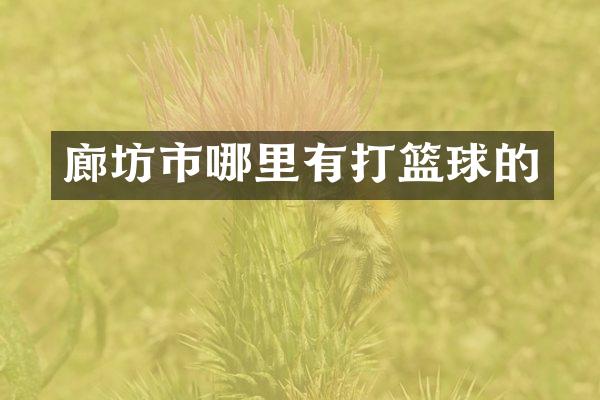 廊坊市哪里有打篮球的