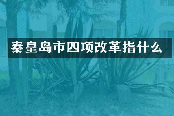 秦皇岛市四项改革指什么