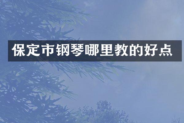 保定市钢琴哪里教的好点