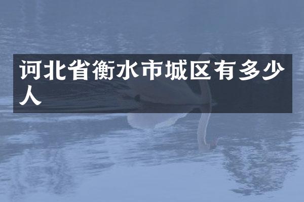 诃北省衡水市城区有多少人