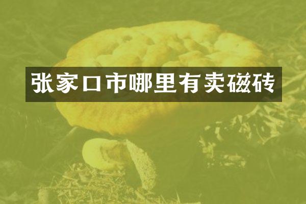 张家口市哪里有卖磁砖