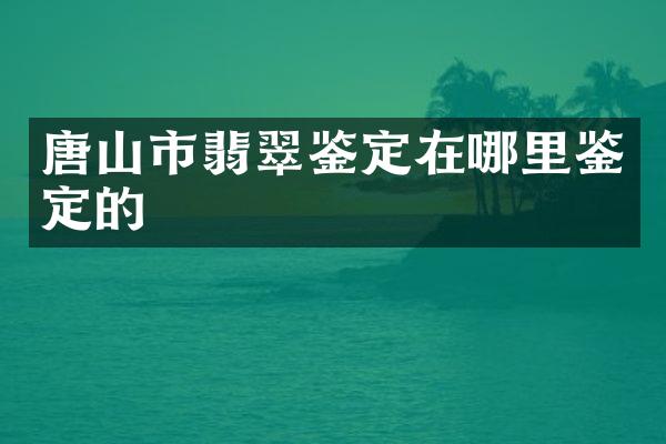 唐山市翡翠鉴定在哪里鉴定的