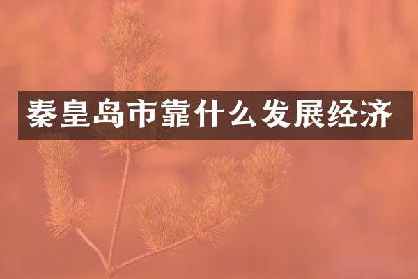 秦皇岛市靠什么发展经济