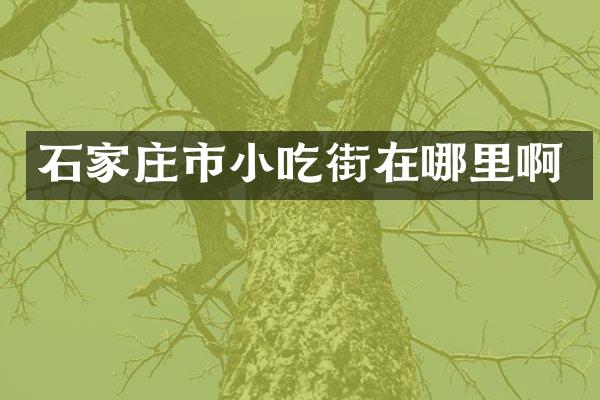 石家庄市小吃街在哪里啊