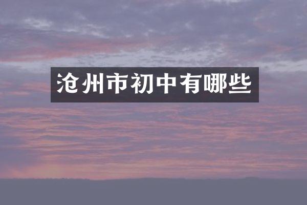 沧州市初中有哪些