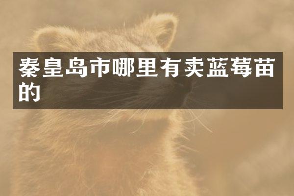 秦皇岛市哪里有卖蓝莓苗的