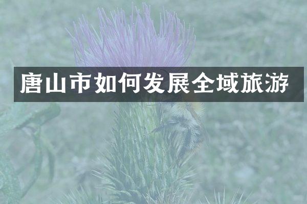 唐山市如何发展全域旅游