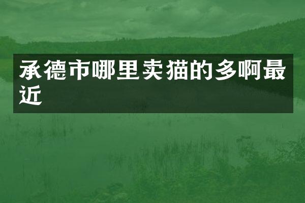 承德市哪里卖猫的多啊最近