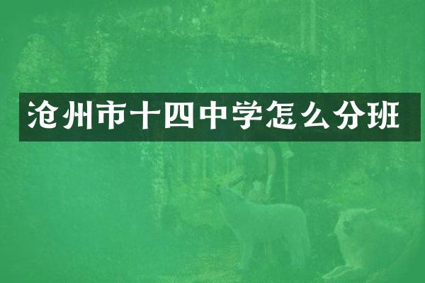 沧州市十四中学怎么分班