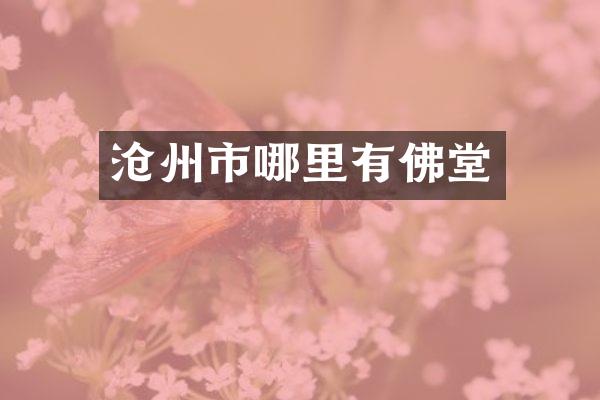 沧州市哪里有佛堂