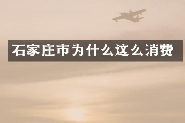 石家庄市为什么这么消费