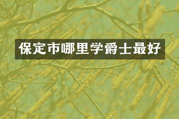 保定市哪里学爵士最好