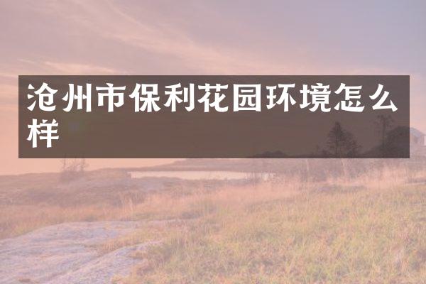 沧州市保利花园环境怎么样