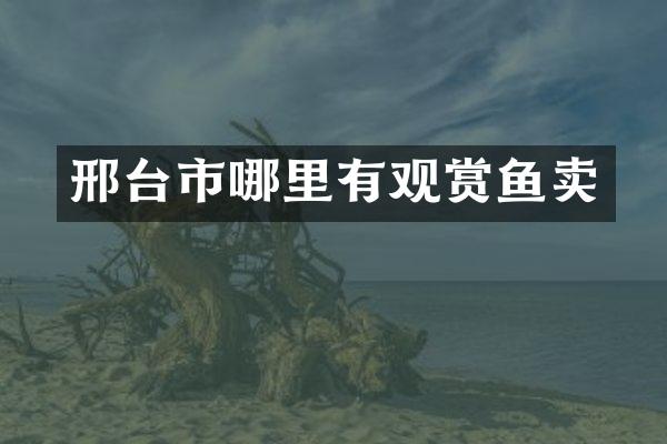 邢台市哪里有观赏鱼卖