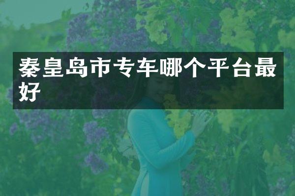 秦皇岛市专车哪个平台最好