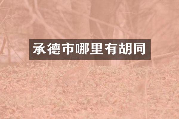 承德市哪里有胡同
