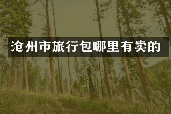 沧州市旅行包哪里有卖的