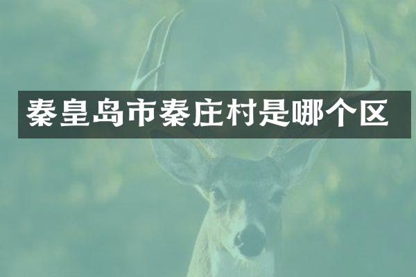 秦皇岛市秦庄村是哪个区