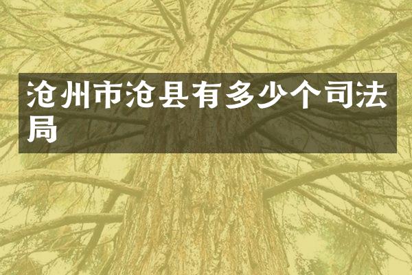 沧州市沧县有多少个司法局