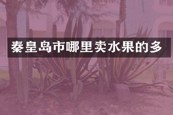 秦皇岛市哪里卖水果的多