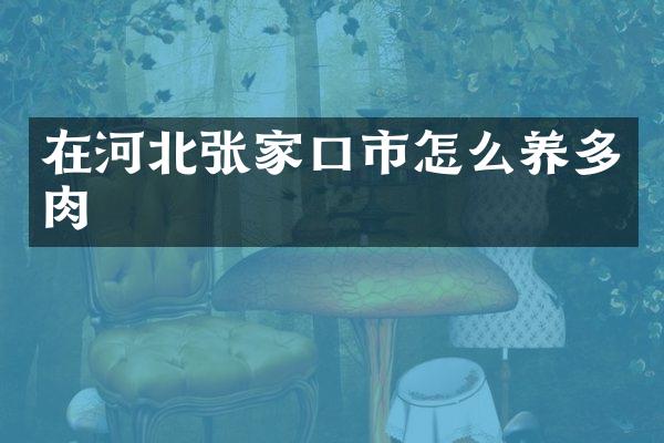 在河北张家口市怎么养多肉