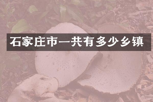 石家庄市一共有多少乡镇
