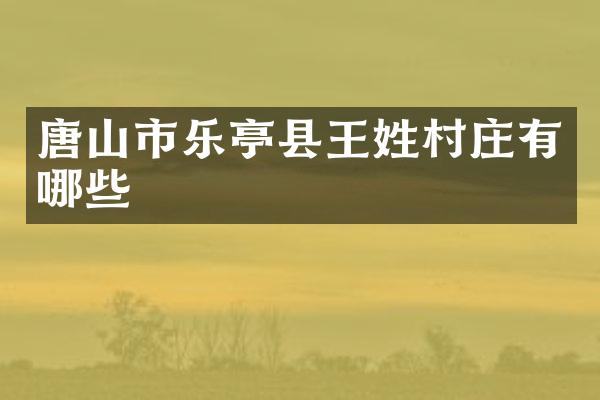 唐山市乐亭县王姓村庄有哪些