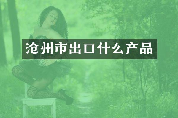 沧州市出口什么产品