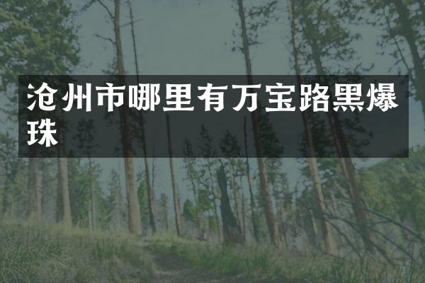 沧州市哪里有万宝路黑爆珠