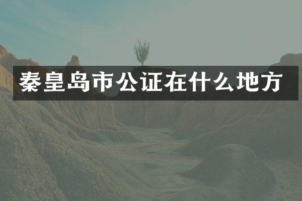 秦皇岛市公证在什么地方