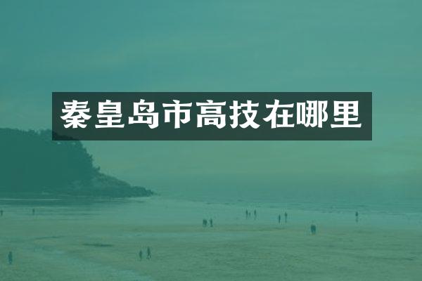 秦皇岛市高技在哪里