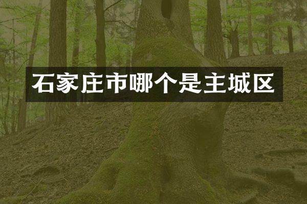 石家庄市哪个是主城区