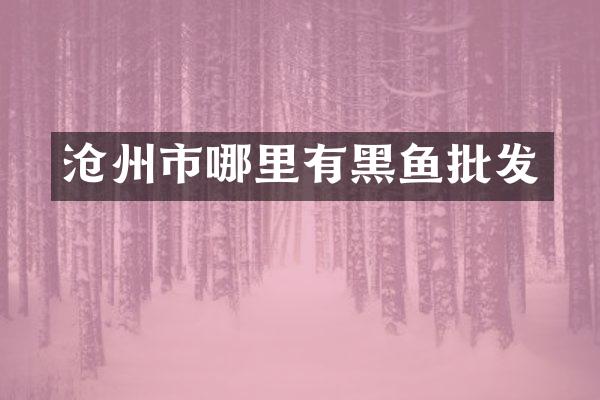 沧州市哪里有黑鱼批发