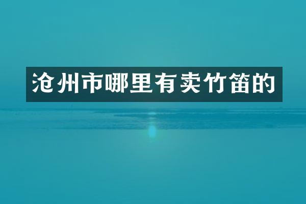 沧州市哪里有卖竹笛的
