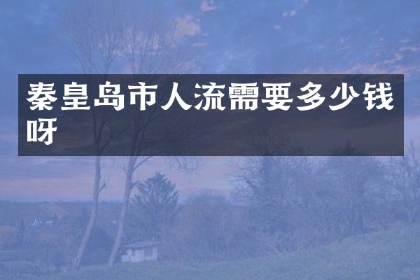 秦皇岛市人流需要多少钱呀