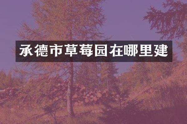 承德市草莓园在哪里建