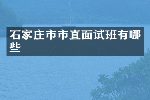 石家庄市市直面试班有哪些