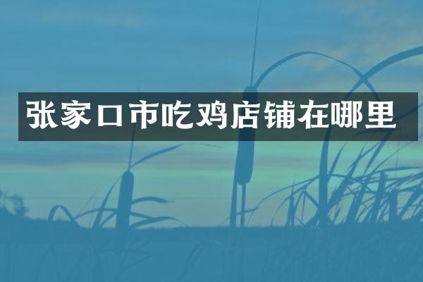张家口市吃鸡店铺在哪里