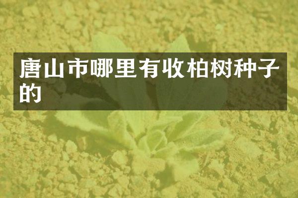 唐山市哪里有收柏树种子的